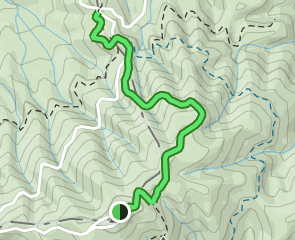 Rich Mountain to Hurricane Gap - V1 Trail Us North Carolina Appalachian Trail Rich Mountain To Hurricane Gap At Map 160178972 1689190103 295w240h En US I 1 Style 3 