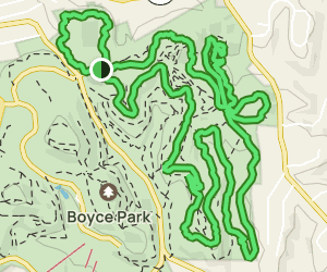 boyce park mountain bike trails