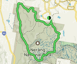 Nerang National Park Loop: 99 Reviews, Map - Queensland, Australia ...