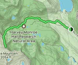 Escape to Serenity: Your Guide to Sawmill Walk-in Campground, Northern California