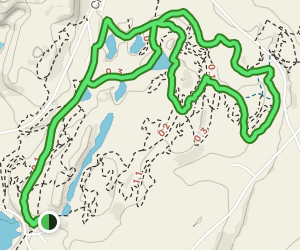 Westside, Link, Vast and #6 Trail Loop: 42 Reviews, Map - Vermont ...