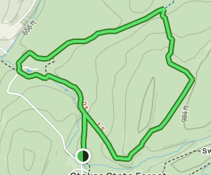 Silver Mine Loop: 370 Reviews, Map - New Jersey | AllTrails