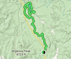 Lynx Lake Trail: 95 Reviews, Map - Arizona | AllTrails