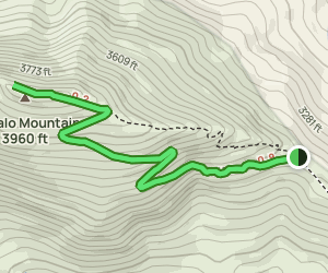 Buffalo Mountain Trail: 566 foto's - Virginia | AllTrails