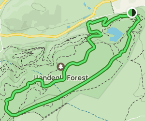 llandegla mtb trail map