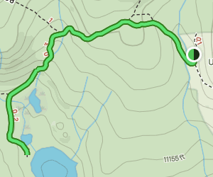 Bear Lake Trail 51 Reviews Map - V1 Trail Us Colorado Bear Lake Trail 2 At Map 165359719 1689190892 300w250h En US I 1 Style 3 