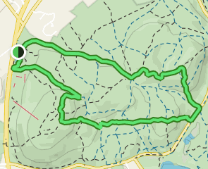 Blue Hills Skyline Loop Tower, Massachusetts - 578 Reviews, Map | AllTrails