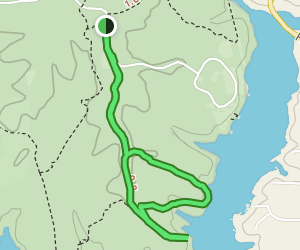 AllTrails Turkey Run and Cedar - V1 Trail Us Virginia Turkey Run Trail Cedar Run Trail At Map 167632671 1689191227 300w250h En US I 1 Style 3 