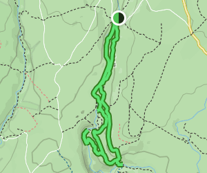 Cwm Porth to Four Waterfalls Trail: 594 Reviews, Map - Powys, Wales ...