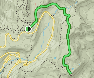 Faraway Rock via Skyline and Mazama Ridge Trail: 125 Reviews, Map ...