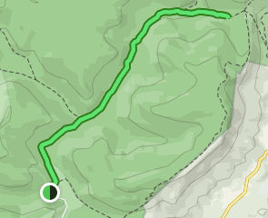 Mylius Gap via Otter Creek Trail: 58 Reviews, Map - West Virginia