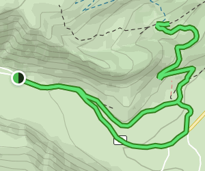 Mosquito Pass and Orpanbry Mine Road OHV Trail: 7 Reviews, Map ...