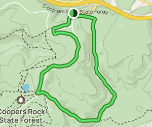 Scott Run Loop Trail: 297 Reviews, Map - West Virginia | AllTrails