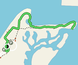 Apollo Beach Nature Preserve Walk - V1 Trail Us Florida Apollo Beach Nature Preserve Walk At Map 169219427 1683745961 300w250h En US I 1 Style 3 