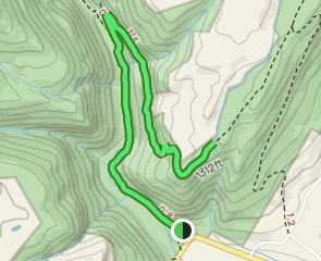 Roaring Creek Overlook and Wildcat Hollow Falls, Tennessee - 132 ...