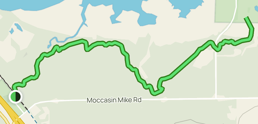 Makwa Ziibiins Miikana (Bear Creek Trail): 71 Reviews, Map - Wisconsin |  AllTrails
