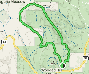 Agua Dulce Loop Trail: 378 Reviews, Map - California | AllTrails