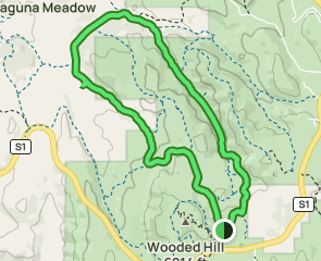 Agua Dulce Loop Trail, California - 429 Reviews, Map 