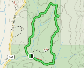 The Pocket Campground, Georgia - 80 Reviews, Map | AllTrails