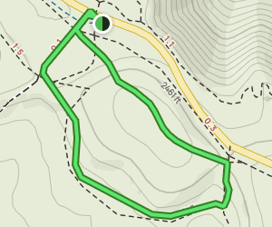 AllTrails Sugarloaf Surprise - V1 Trail Us Pennsylvania Sugarloaf Surprise At Map 17141862 1689170181 300w250h En US I 1 Style 3 
