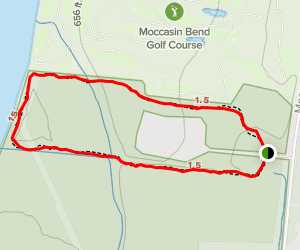 Blue Blazes Trail | Mapa, Roteiro - Tennessee | AllTrails