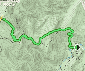 Mount Mitchell Trail: 2033 Reviews, Map - North Carolina | AllTrails