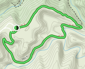 Rock Bridge Trail, Kentucky - 3,115 Reviews, Map | AllTrails