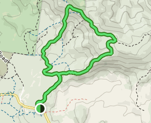 Mermaid Lookout Loop: 97 Reviews, Map - Queensland, Australia | AllTrails