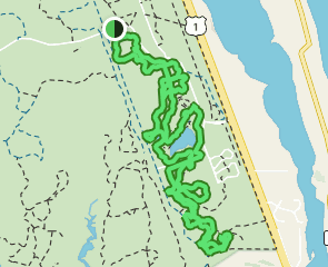 camp murphy mountain bike trails