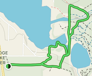 Lake Sawyer Trail: 197 Reviews, Map - Washington | AllTrails