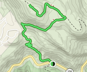 Scaly Mountain Trail: 418 Reviews, Map - North Carolina | AllTrails