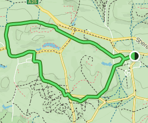Shere Map Shere and Albury Circular: 308 Reviews, Map - Surrey, England | AllTrails