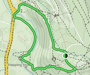 Box Hill Stepping Stones Walk: 730 Reviews, Map - Surrey, England ...