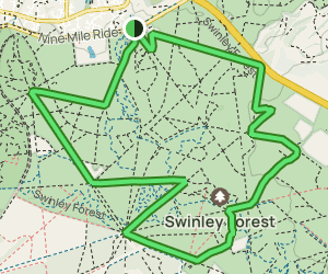 swinley forest trail map