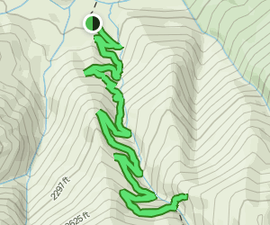 Crabtree Falls Trail: 1923 Reviews, Map - Virginia | AllTrails