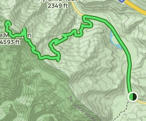 Slide Mountain Trail: 476 Reviews, Map - California | AllTrails