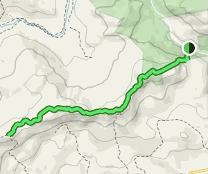 Crawford Ridgepole Trail from Sandwich Notch Rd to Mount Percival: 13 ...