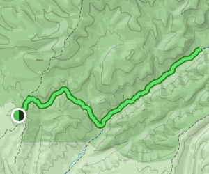 Mimbres River Trail: 14 Reviews, Map - New Mexico | AllTrails