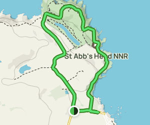 Saint Abbs Head Circular Walk: 210 Reviews, Map - Scottish Borders ...