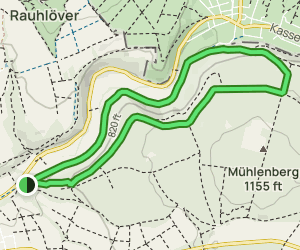 Kaufunger Wald, Rundweg 32 - Niesteauen: 6 Fotos - Hessen, Deutschland