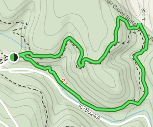 Horn Hollow Trail: 241 Reviews, Map - Kentucky | AllTrails