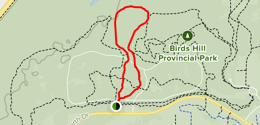 birds hill bike trails map