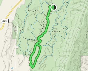 Loblolly Trail, Georgia - 20 Reviews, Map | AllTrails