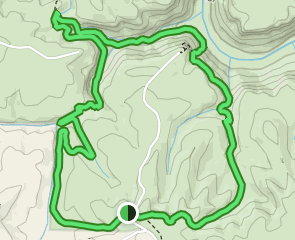 Honey Creek Loop Trail, Tennessee - 1,399 Reviews, Map | AllTrails