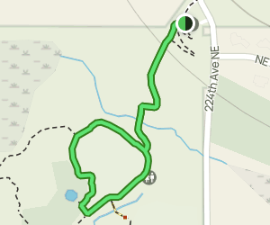 Evans Creek Meadow Trail: 38 Reviews, Map - Washington | AllTrails