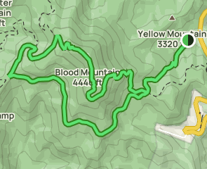 Blood Mountain and Freeman Loop Trail: 2,825 Reviews, Map - Georgia ...