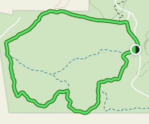 Lively Loop: 20 fotos - Texas | AllTrails