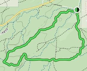 Phil's Trail Combo Loop: 75 Reviews, Map - Oregon | AllTrails