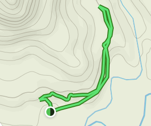 Crow Canyon Main Panel Trail: 15 Reviews, Map - New Mexico | AllTrails