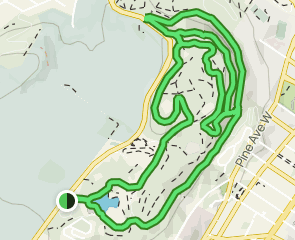 Mount Royal Park Loop, Quebec, Canada - 1,447 Reviews, Map | AllTrails